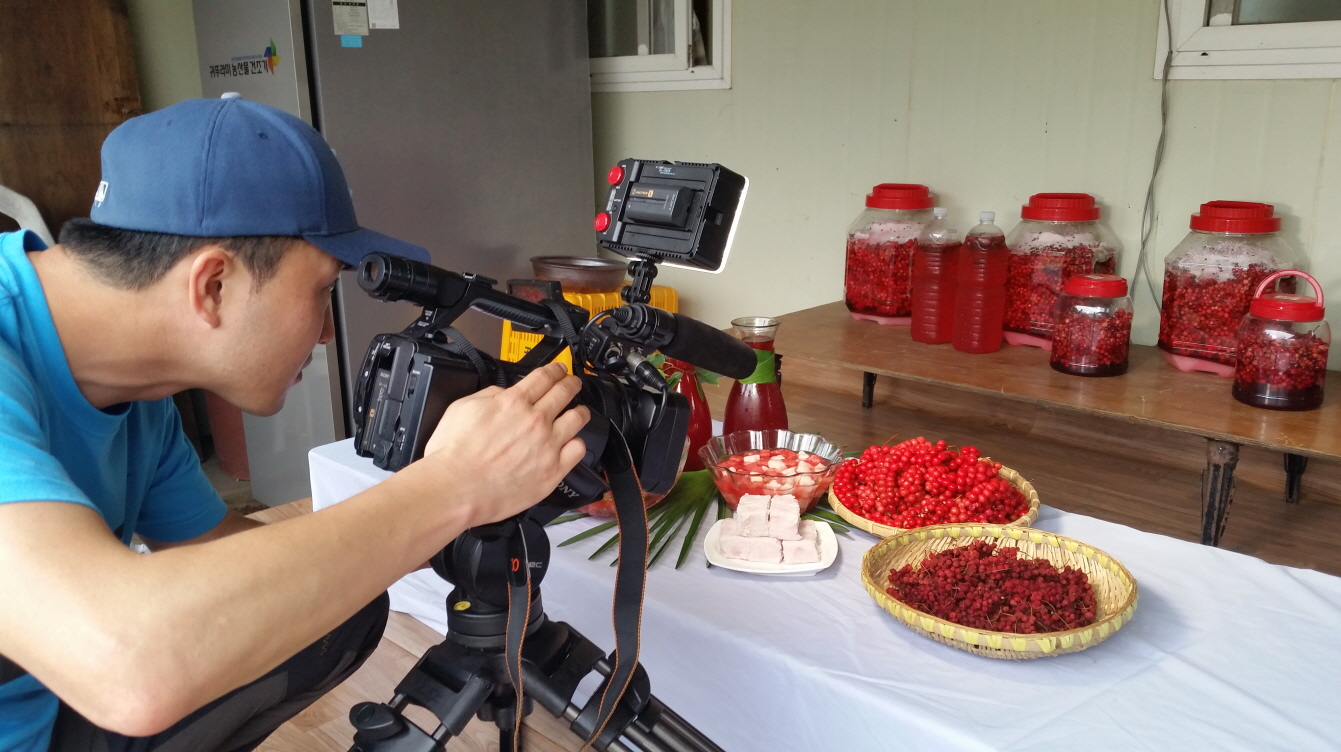 우리 미자씨를 찾아주세요!